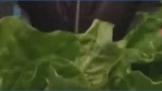Tennessee restaurant considers closing because of drop in sales amid Cyclospora outbreak