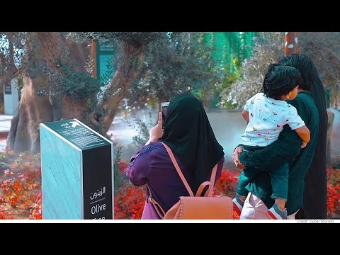 دبي هي موطن لعدد كبير من المتاحف من الأحجار الكريمة الخفية إلى العالم الأول