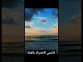 بهاء سلطان سوا سوا أغنية تلمس القلب وتخليك تعيدها 100 مرة