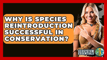 Why Is Species Reintroduction Successful In Conservation? - Ecosystem Essentials