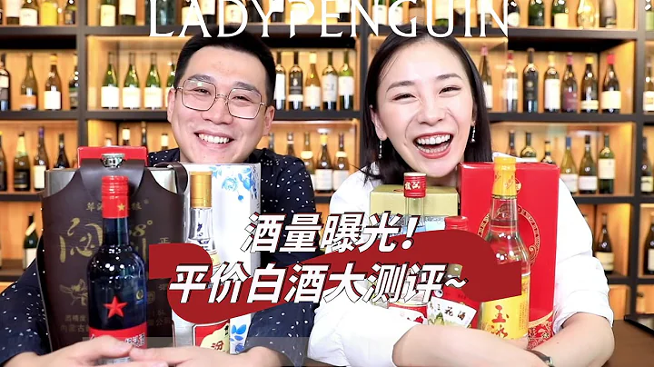 平价白酒大测评！ - 天天要闻