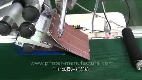 Automatic Cards Labeling Machine with Zebra Printer