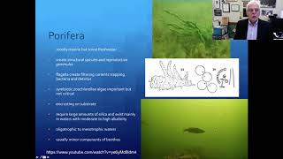 Session 15 Benthos of lakes and ponds