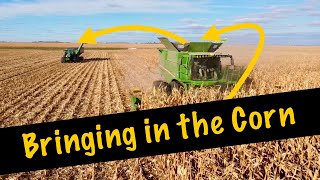 The Best View of Corn Harvest by theburbankblues 473 views 4 months ago 3 minutes, 21 seconds