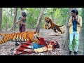 Tiger attack man in forest full made move part 2