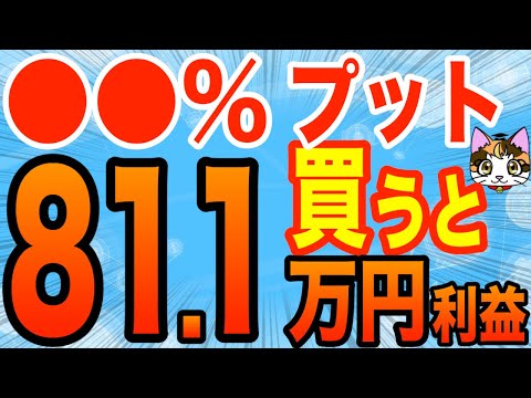 日経平均225先物オプション取引のプット買い検証してみた