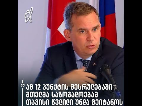 „ამ 12 პუნქტის შესრულებაში მთელმა საზოგადოებამ თავისი წვლილი უნდა შეიტანოს“