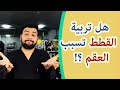 الجواب النهائي لسؤال هل القطط تسبب العقم ؟