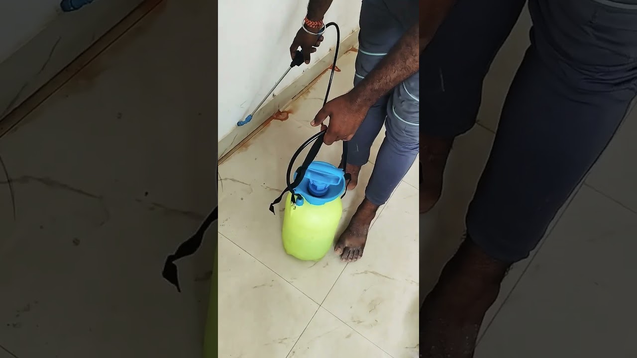 best anti Termint Tretment ! Jagannath Pest Control Services  