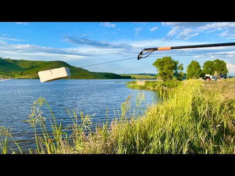 I am willing to wait as long as it takes for a bite like this. Bottom fishing in July 2026.