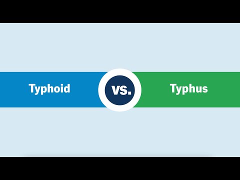 Typhoid vs. Typhus: