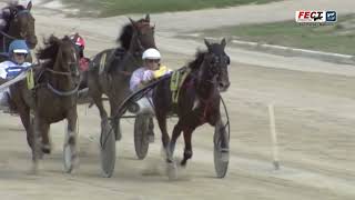 Vidéo de la course PMU PREMI MY LOVE