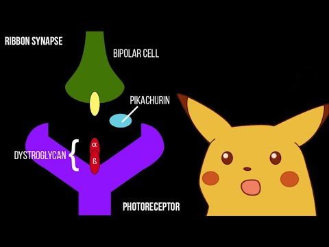 Pikachurin