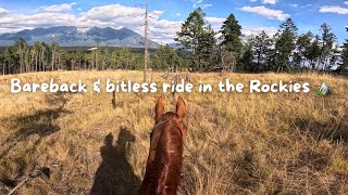 First Ride In The Rocky Mountains on My Rescue Horse