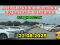 Авто из Японии под Заказ в Наличии Авторынок Новый Кей Кар Хэтчбек Минивэн Кроссовер Универсал Седан