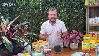 Esterco De Gado E Composto Orgânico Evite Essa Dor De Cabeça Na Hora De Cuidar Do Seu Jardim