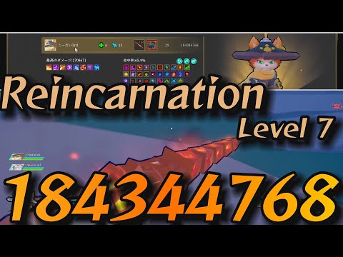 Reincarnation Level7 damage