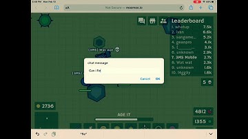 Moomoo.io: Flexing My Hats 2