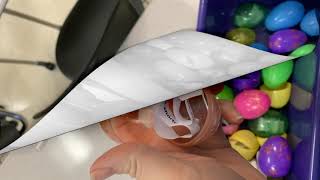 90 Second Spotlight: Egg Dash