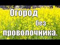 Как избавиться от проволочника.