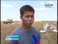 В Лаганском районе в разгаре уборка картофеля