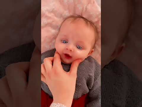 هل صيصان شو حلوين