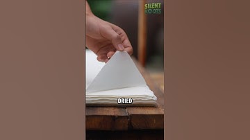 Ancient Paper Was Made from Tree Bark