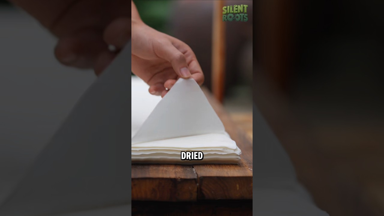 Древняя бумага изготавливалась из коры деревьев