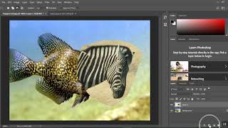 Hybrid Animal How To in Photoshop CC 2018