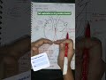 cardiac cycle#bodyfluidsandcirculation#cardiaccycle#humanheart#class11biology#cbse#neet#aktbiology