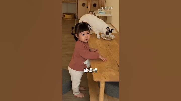 以後貓跟狗就交給你了！ #貓 #cat