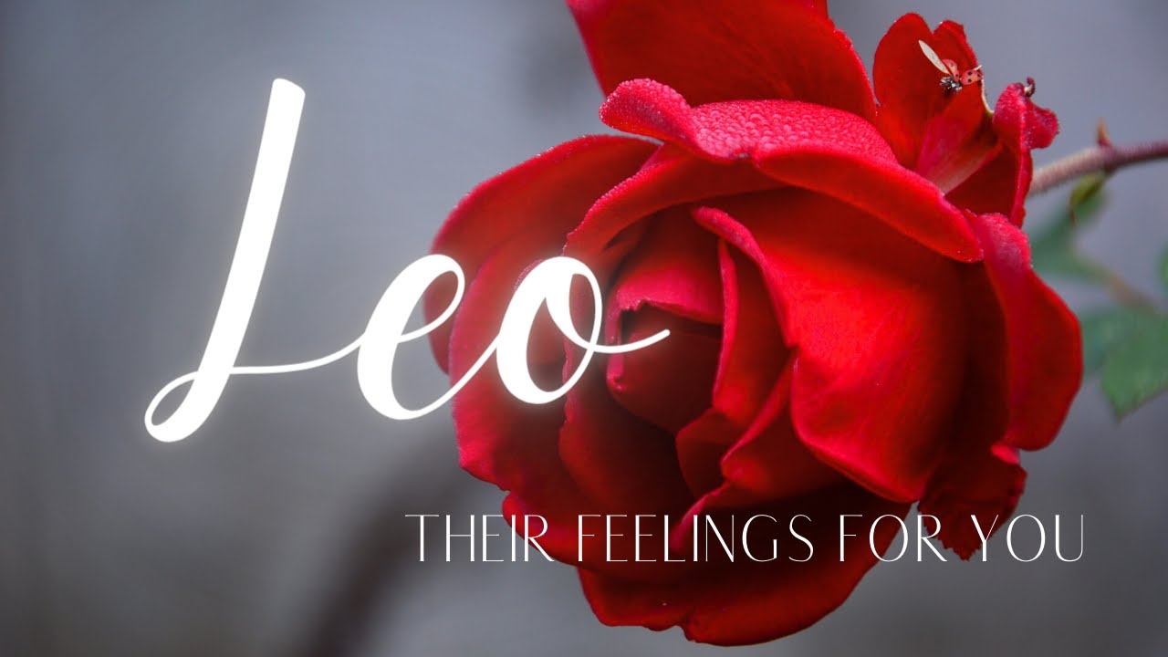 LEO LOVE TAROT TODAY - THE END OF SEPARATION!! ARE YOU READY, LEO???