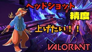 【ケモノVtuber】最近ちょっと上手くなって気がしてご満悦なドラゴン【Valorant】