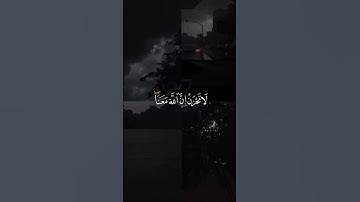 سورة التوبة ( عبدالرحمن مسعد )❤️
