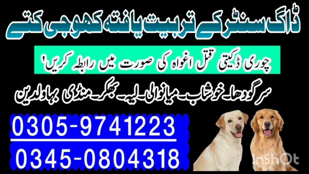 Army Dog Center Khushab 