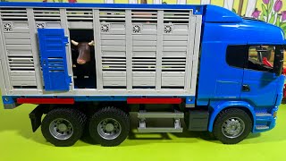 Big Tuck With Animals Farm And Cars