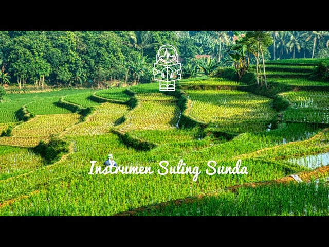 Instrumen Suling Sunda - No Copyright Backsound Instrumen musik Sunda class=