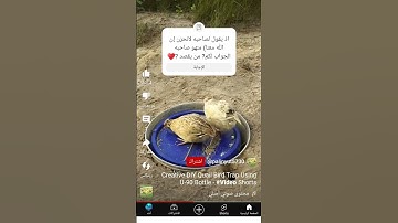 القرآن الكريم هو جنة، هو رفعة ، هو هداية، هو سبيل إسعاد ودربُ أمان