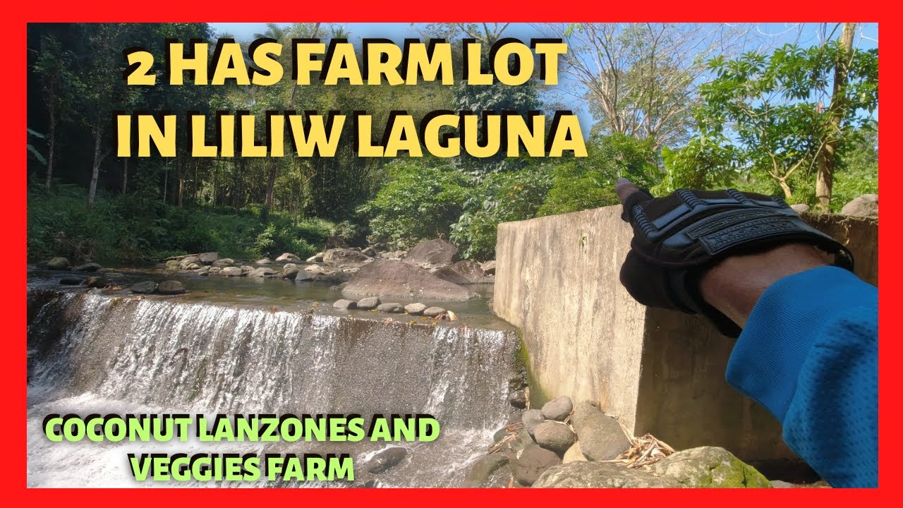 20 000 Sqm Farm In Liliw Laguna For Sale Lot Code 2409 YouTube 20-000-sqm-farm-in-liliw-laguna-for-sale-lot-code-2409-youtube