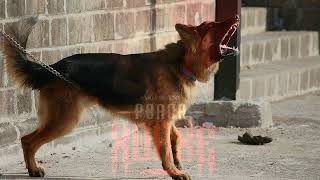 Poada Xorxe Prod By Master P