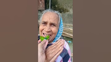 Ông nội tội nghiệp🤪🤪🤪 và Em bé dễ thương Rất buồn Cười OBJ🍒🍓🍊🍏🍇#shorts #cute p5759