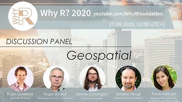 Why R? 2020 Discussion Panel - Geospatial