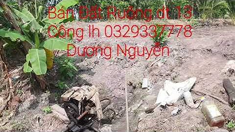 Nhà Đất Bán Đất Ruộng vườn dt 13 Công Giá 140tr Công Thạnh Hóa LA