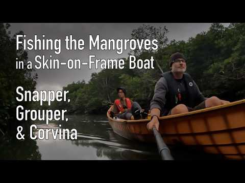 Snapper, Grouper & Corvina! Fishing the Mangroves in a Skin-on-Frame Boat