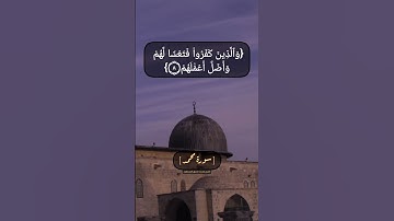 سورة محمد الآية ٧ الى ١١ بصوت الشيخ محمد صديق المنشاوي