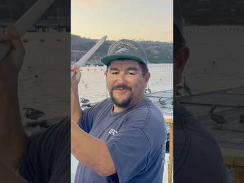 Ocean Odyssey Loads Sardines for Bluefin! Philip Jr + Excel Paving Charter 🎣🔥