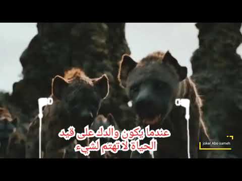 الأسد الملك حالات واتساب الملك الأسد اجمل مقاطع فيديو كليب الأسد الملك