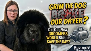 Grim Wrecked My Salon! 🐕💥 (Groomers World Review + Client Red Flags 🚩#lythamstannes 