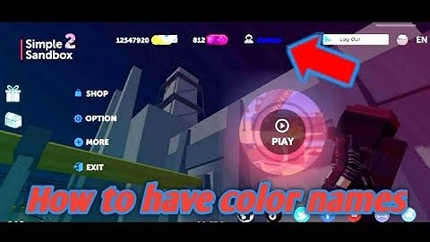(PATCHED) Simple Sandbox 2 Glitch? How to have color names & Big name!!