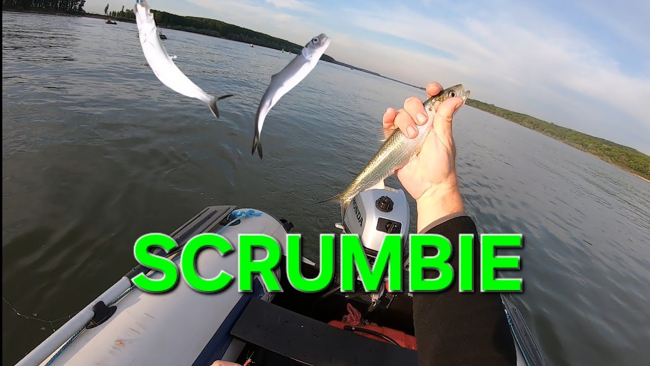 Pescuit la SCRUMBIE deschidere sezon 2025 ( partea 1 - ziua 1 - 2 )  #fishing #foryou